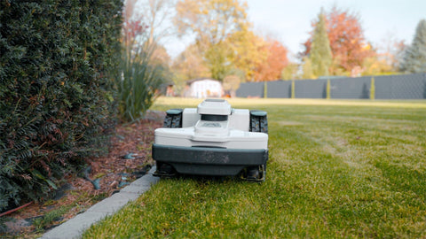 Saubere Rasenkanten mit dem Mähroboter: Das sind die Tipps vom Profi